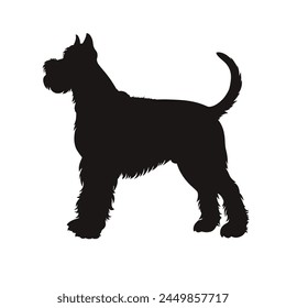 schnauzer silhouette, dog silhouette - vector illustration