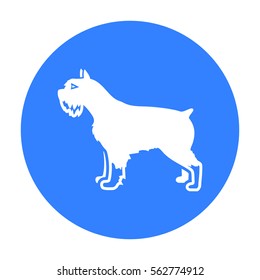 Schnauzer vector icon in black style for web