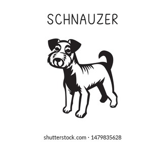 Schnauzer vector illustration in black and white 