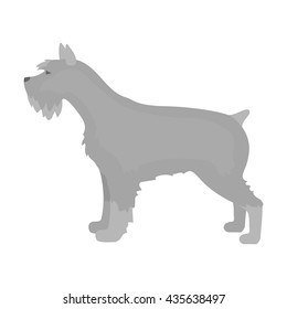 Schnauzer vector illustration icon in cartoon design