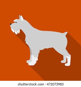 Schnauzer vector illustration icon in flat design