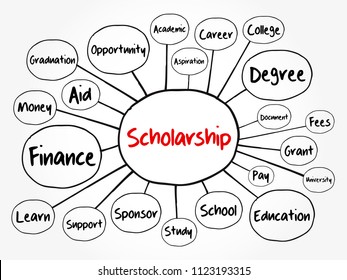 Scholarship mind map flowchart, education concept for presentations and reports
