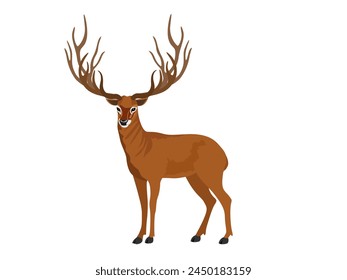 Schomburgk's deer on a white background.