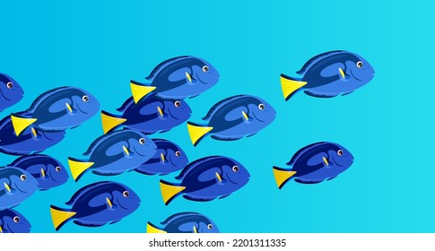 School of Blue tang or Regal tang swims in ocean. Shoal of fish swimming under water of sea. Coral reef dweller.