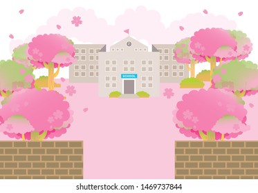 school building spring pink sakura tree graduation ceremony season