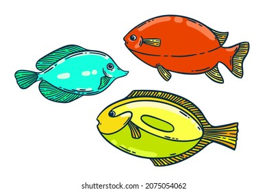 School of colorful bright fish set, hand drawn vector illustration. Restaurant sea food menu graphic collection isolated over white.