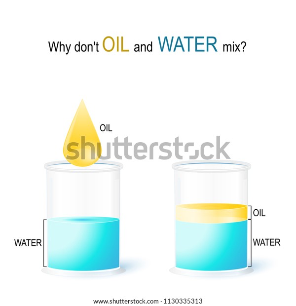 学校の実験 油と水を混ぜないのはなぜですか 教育と科学の使用に使用するベクターイラスト 水と油 通常は混和できない 混和できない または混和できない 液体 のベクター画像素材 ロイヤリティフリー