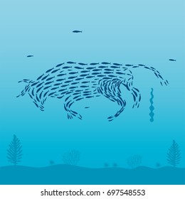 School of fish bull