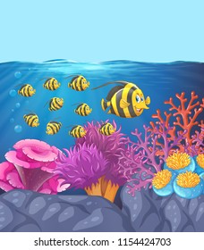 School of fish in coral reef illustration