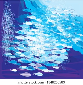 School of fish. Diving. Underwater world