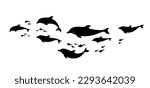 School of fish and dolphins. Decorative wave of flock of fish. Black isolated silhouette on white background. Vector illustration