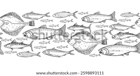 School of fish flounder, salmon black white vector seamless border. Shoal sardine, anchovy, mackerel engraving hand drawn. Flock herring sea fish monochrome repeat banner in graphic line art.