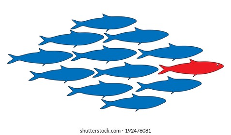 school of fish with a leader, vector illustration