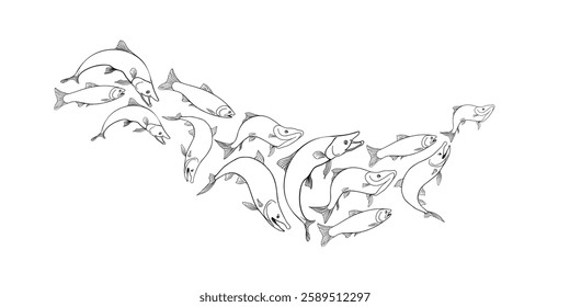 School of fish salmon black white vector illustration. Shoal trout silhouette hand drawn. Nerka sea fish painted linear. Sockeye drawing in monochrome. Design element for package, label, sign board.