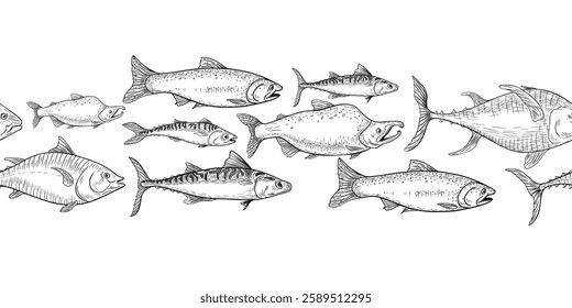 School of fish salmon, tuna black white vector seamless border on white. Shoal trout, mackerel engraving hand drawn. Flock nerka sea fish monochrome repeat texture. Group sea fish graphic line art.