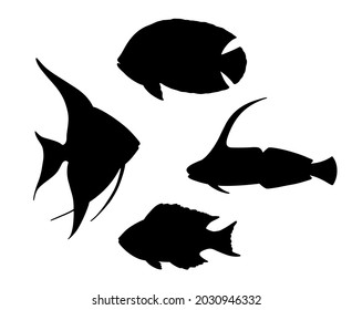 School of fish silhouette set, hand drawn vector illustration. Restaurant sea food menu graphic collection in black isolated over white.