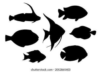 School of fish silhouette set, hand drawn vector illustration. Restaurant sea food menu graphic collection in black isolated over white.