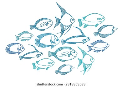 School of fish sketch set, hand drawn vector illustration. Restaurant sea food menu graphic collection. Blue lineart over white