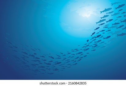 School fish swimming under water sea  School sardinella fish swims in underwater