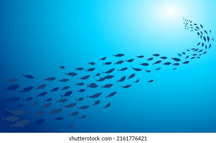 School fish swimming under water sea  School tuna fish swims in underwater	
