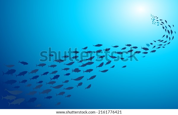School of fish swimming under water of sea.\
School tuna fish swims in\
underwater	