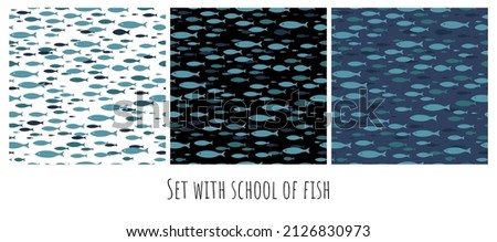 School of fish swims in the sea or ocean for background