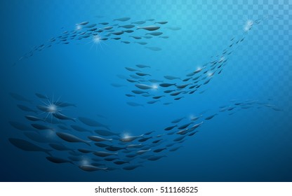 School of fish, underwater world background for design.