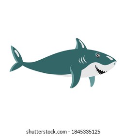 School of fish vector illustration