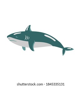School of fish vector illustration