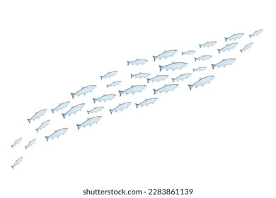 School of fish vector illustration. Cartoon isolated group of many trouts swim in water or sea or ocean, blue fish shoal swimming in aquarium, pattern of underworld wildlife and marine ornament