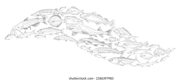 School of fish vector illustration. Fish sketch hand drawn collection. Sea and river fish in the engraved style