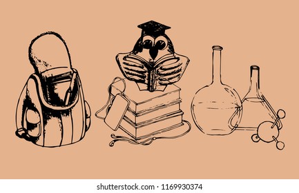 School Graphic Vector Set. Education and Study.