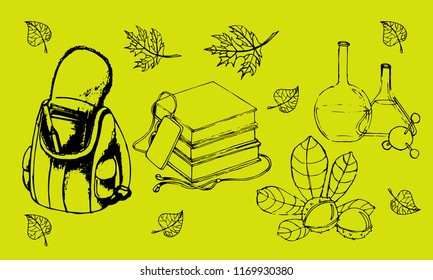School Graphic Vector Set. Education and Study.