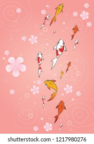 School of koi fish swimming with cherry blossom drop on water vector background for decoration on Chinese new year festival, Hanami festival  or another events.