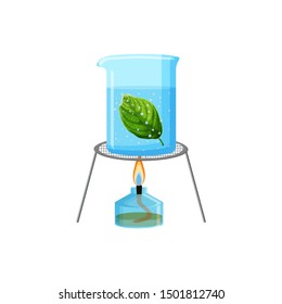 School laboratory experiment clip art. Starch or photosynthesis test. Alcohol burner, tripod and glas container with boiling water and green leaf isolated on white background. Vector illustration.