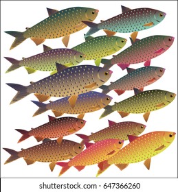 School of multicolored fishes. Vector illustration