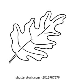 School oak leaf doodle. Hand drawn illustration.