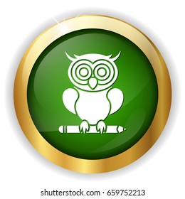 school owl icon