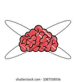 school science brain education image