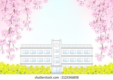 The school in the spring days when the weeping cherry blossoms are in bloom