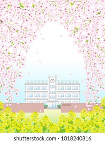 A school under the cherry blossoms arch