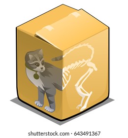 Schrodinger's cat in the box isolated on white background. Vector cartoon close-up illustration.