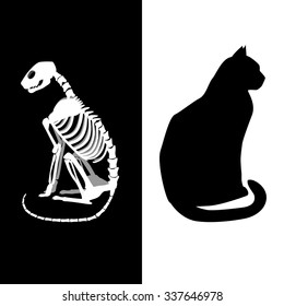 Schrodinger's cat vector illustration. Life and death.