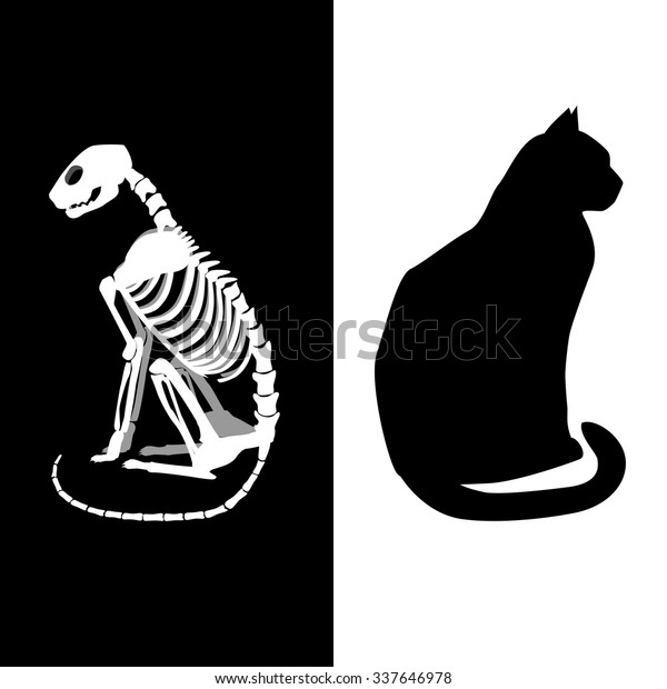 Schrodingers Cat Vector Illustration Life Death Stock Vector (Royalty ...