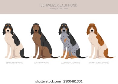 Schwyzer Laufhund, Swiss Hound clipart. All coat colors set.  All dog breeds characteristics infographic. Vector illustration