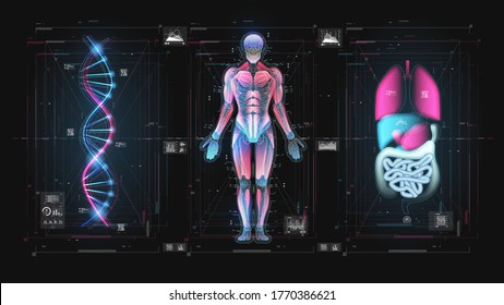 Science-Fiction-Grafik. Virtual Graphic Touch HUD Display mit Illustration. HUD, GUI, UI, Dashboard Element in der medizinischen Untersuchung. Menschlicher Körper. Körperhologramm, futuristisches Design.