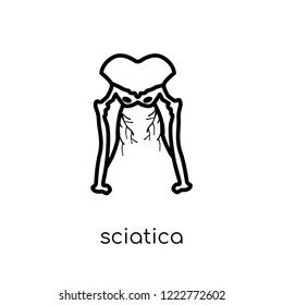 Sciatica icon. Trendy modern flat linear vector Sciatica icon on white background from thin line Diseases collection, editable outline stroke vector illustration