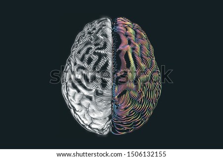 Scibble doodle drawing hemispheres of human brain top view white on left cerebral and colorful rainbow on right isolated on black background