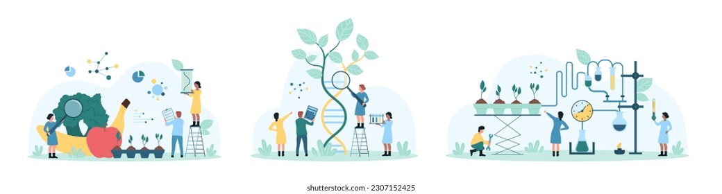 Science in agriculture, food safety set vector illustration. Cartoon tiny people look through magnifying glass at DNA, vegetables and fruits to research quality of products, grow plants with equipment