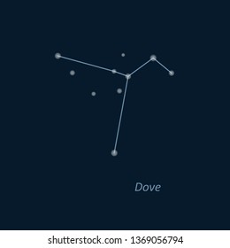 Science astronomy, star chart on deep blue background. Columba (col) constellation. Vector illustration. Dove.